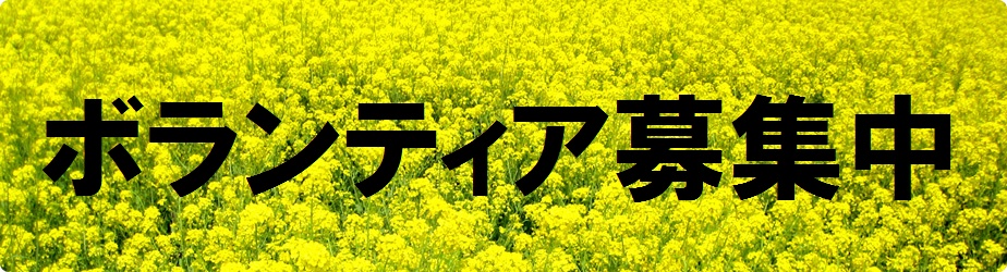 �{�����e�B�A��W��